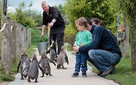 Peak Wildlife Park